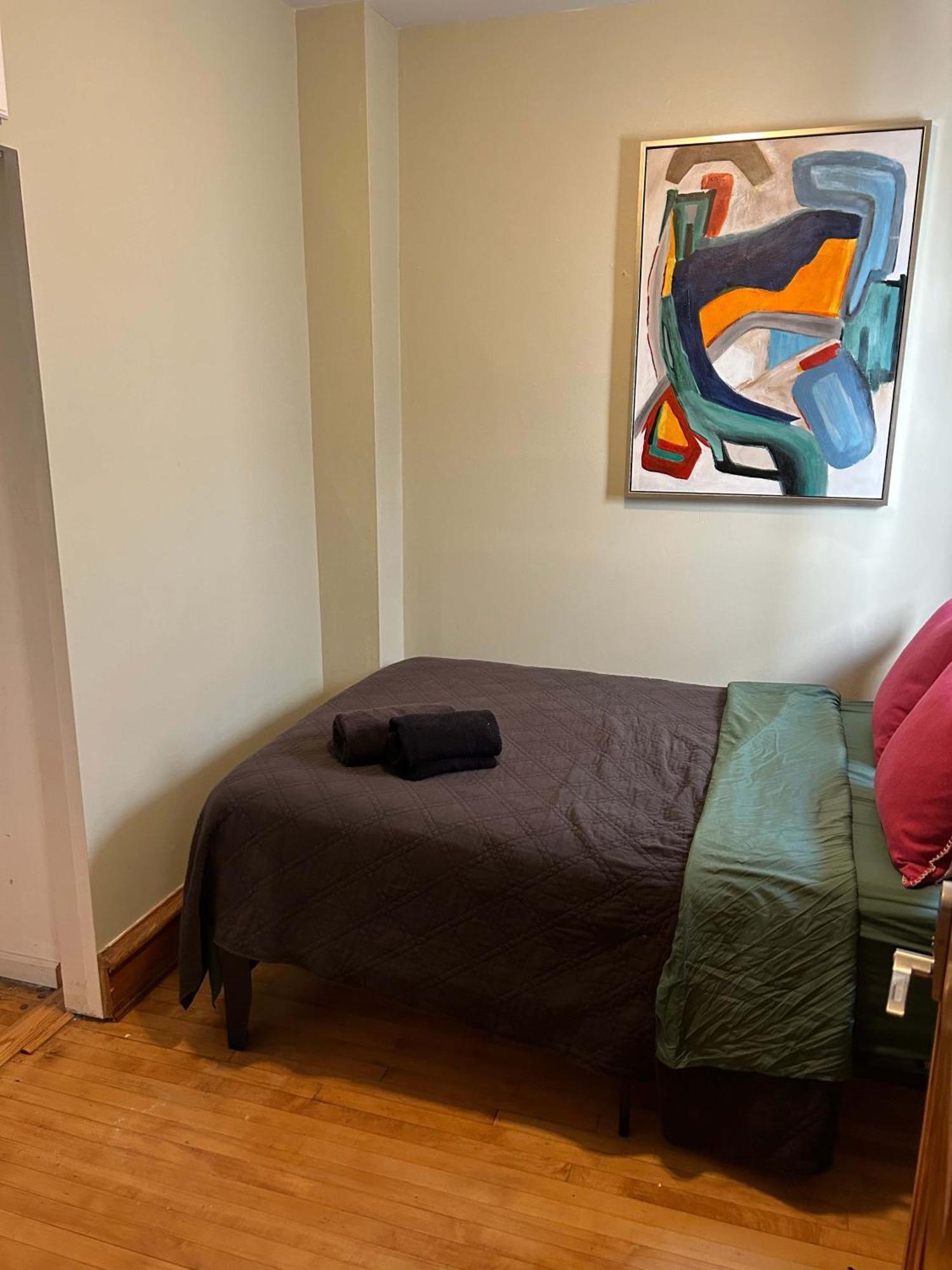 Green Room In Dorothys Bnb シカゴ エクステリア 写真